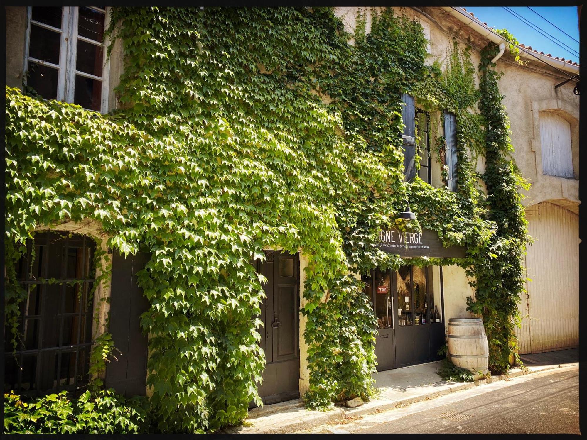 B&B Vigne Vierge Aigne  Exterior photo